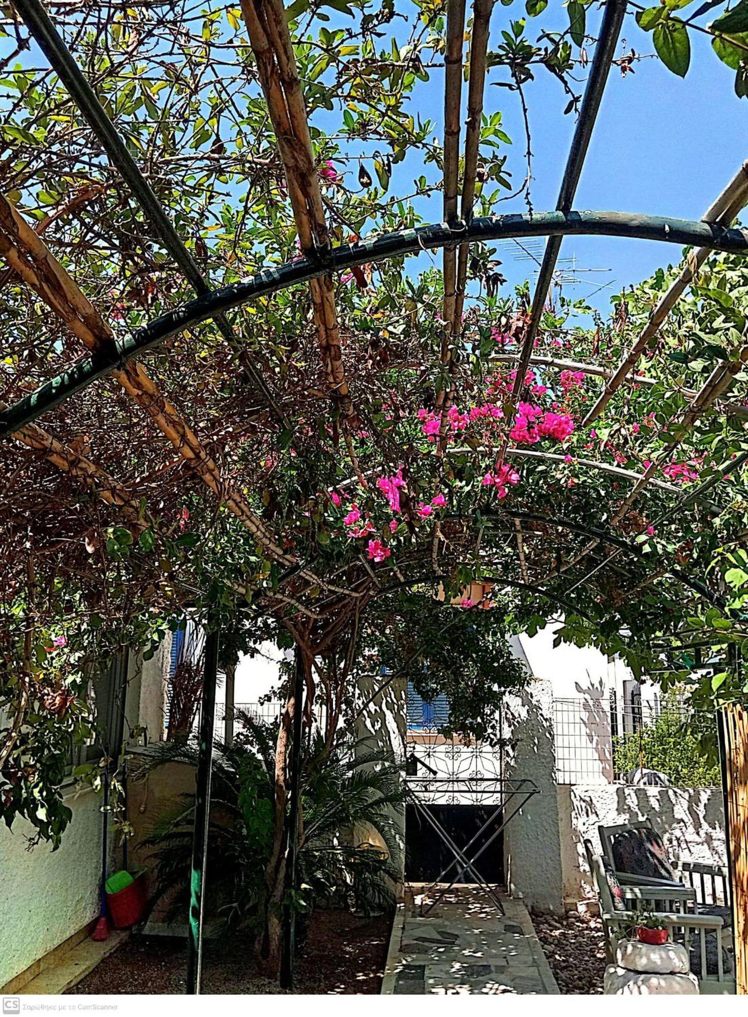 Εξοχικό Maria Vila Ambelakia Exterior foto