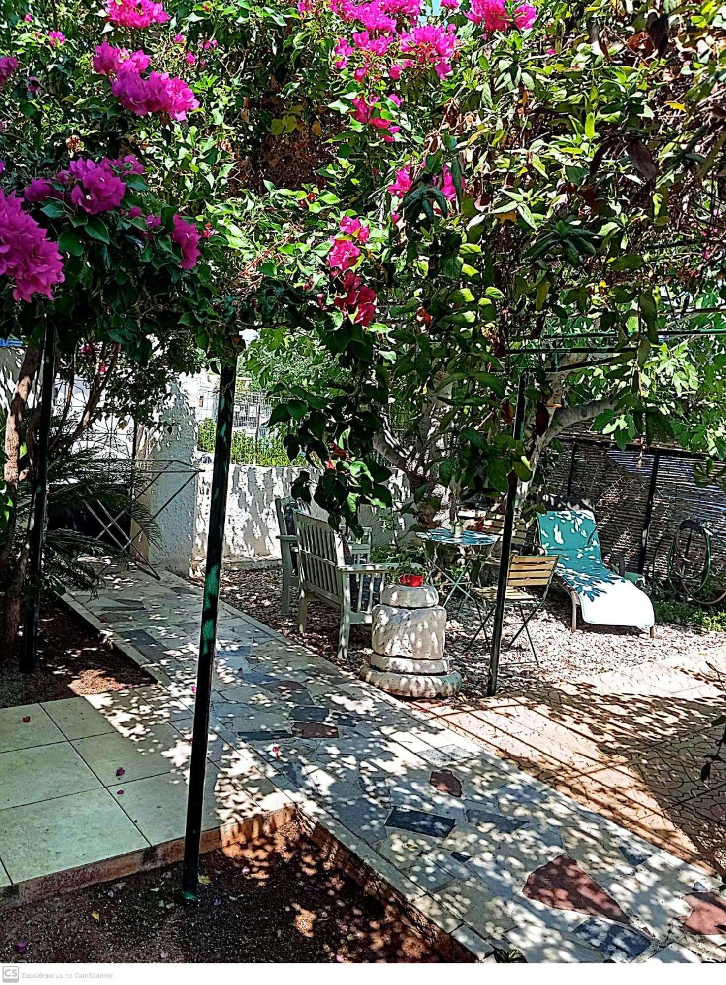 Εξοχικό Maria Vila Ambelakia Exterior foto